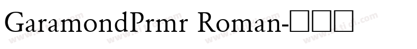 GaramondPrmr Roman字体转换